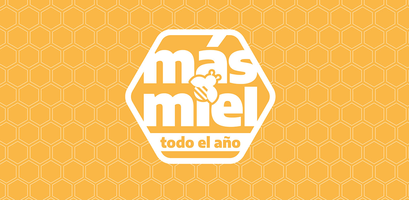 branding-auxilio24.com