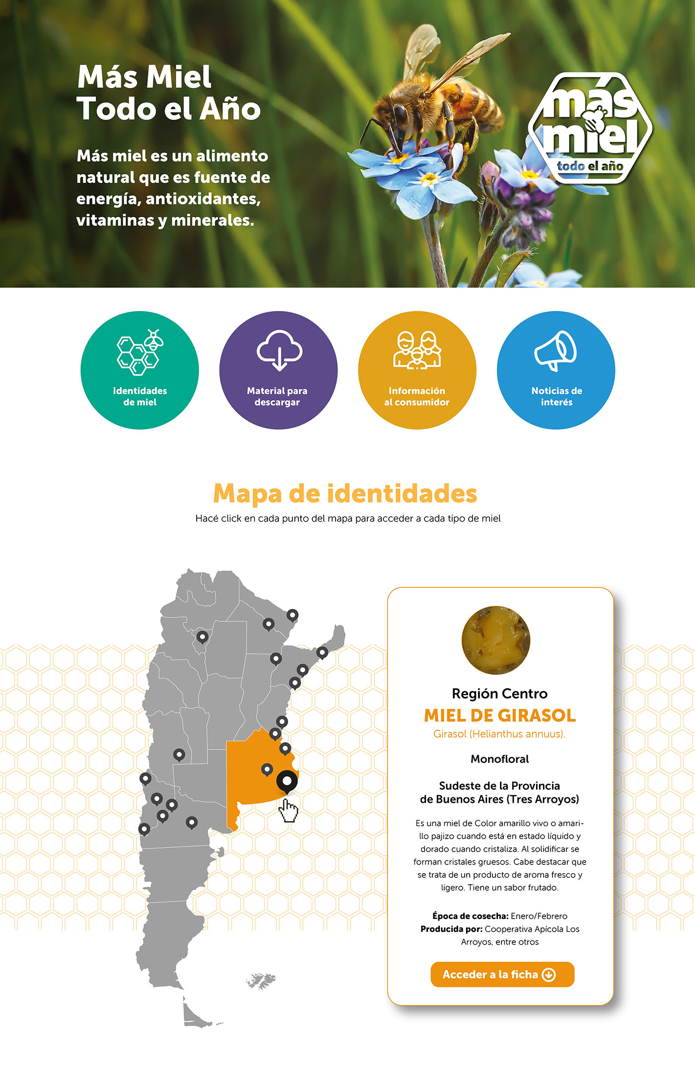 branding-auxilio24.com